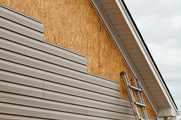Professional Siding Repair technician working in Hamburg, MN